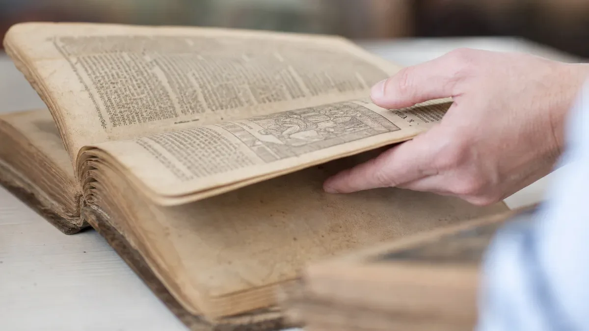 Zaginiona księga i słodki skarb - tak biblioteka zakończyła wakacje