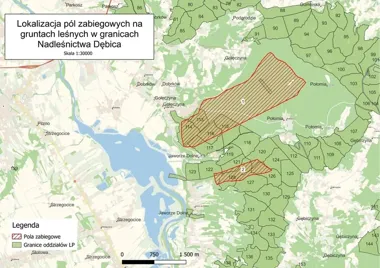 Wieczorny oprysk w lasach pod Dębicą. Wchodzi zakaz wstępu