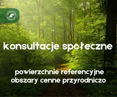 Konsultacje o lasach wyjątkowej wartości. Trwa wyznaczanie stref ochronnych