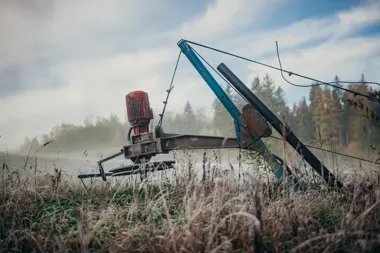 W centrum Dębicy ruszają opryski chwastów. Lista ulic jest długa