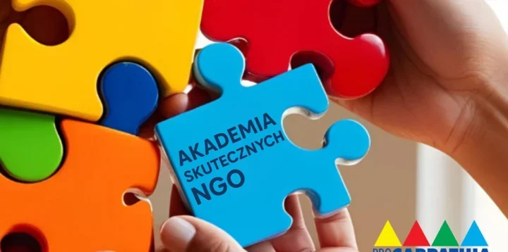 Akademia Skutecznych NGO - bezpłatne szkolenia i doradztwo dla organizacji