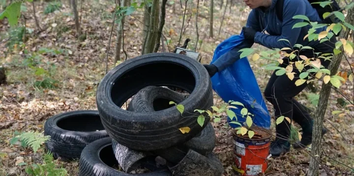 Blisko 250 uczniów sprząta lasy w powiecie dębickim